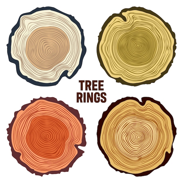 Vecteur coupures rondes de troncs d'arbres colorés tranches de pin ou de chêne sciées bois scié bois bois bois brun bois