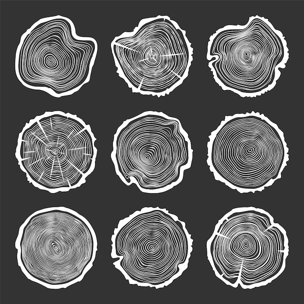 Vecteur coupures de tronc d'arbre rond blanc avec des fissures tranches de pin ou de chêne sciées bois de sciage coupé bois de bois bois