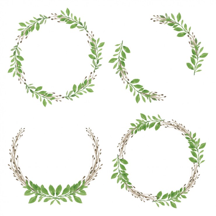 Vecteur couronne aquarelle avec cadre cercle feuille verte