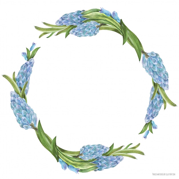 Couronne d'aquarelle de printemps avec des fleurs de jacinthe