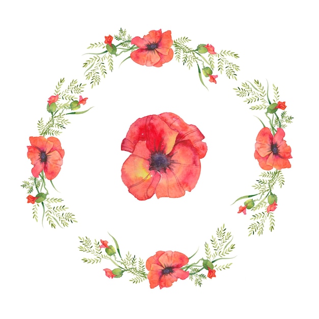 Couronne De Coquelicots Rouges, Fleurs, Bourgeons Et Feuilles, Illustration Aquarelle