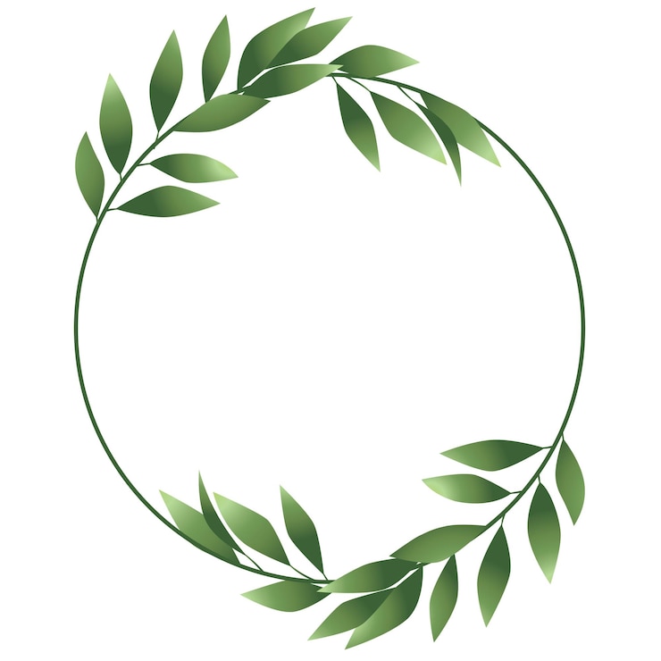 Vecteur une couronne de feuilles vertes sur un fond blanc
