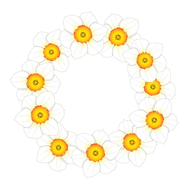 Couronne De Fleurs De Narcisse