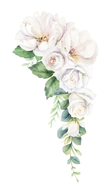 Couronne Florale Vectorielle à L'aquarelle Roses Blanches Et Verdure Branches D'eucalyptus
