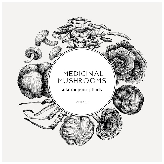 Couronne D'illustrations De Champignons Médicinaux