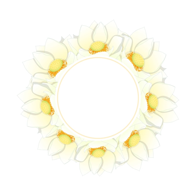 Couronne De Lotus Blanc Indien