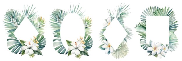 Couronne tropicale en aquarelle avec des fleurs blanches et des feuilles de palmier vertes illustration isolée