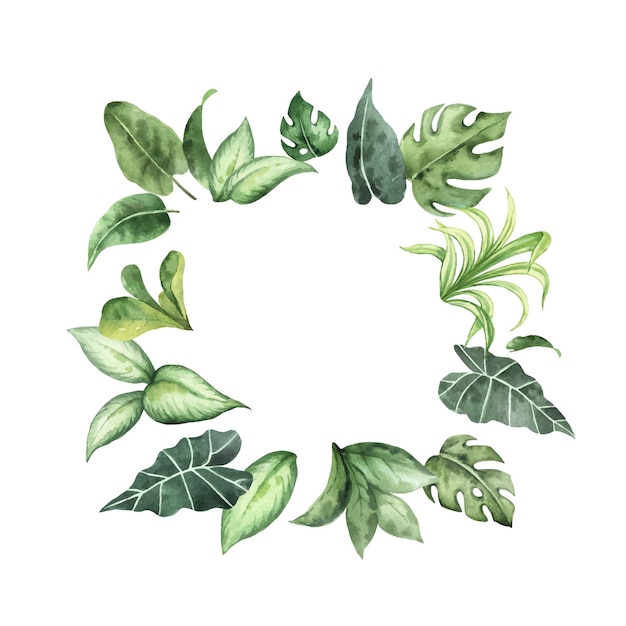 Couronne de vecteur aquarelle avec des plantes vertes isolées sur fond blancxA