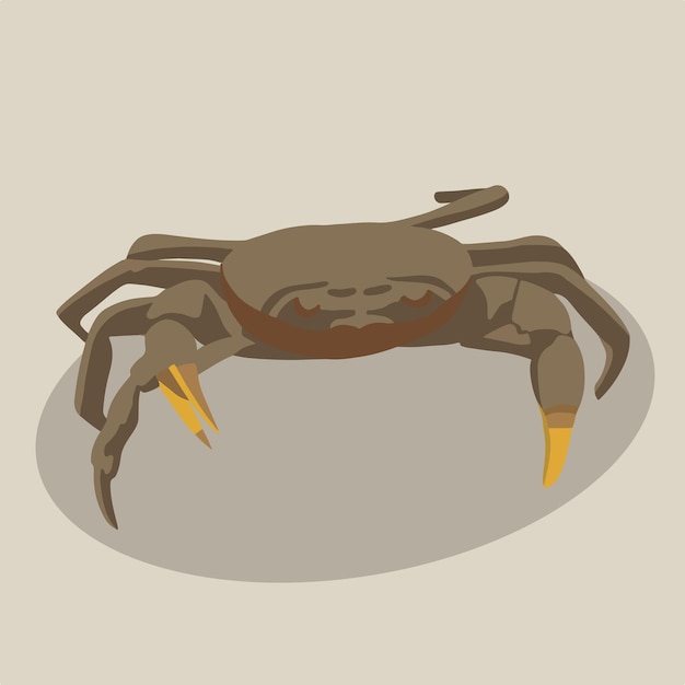 Un crabe brun