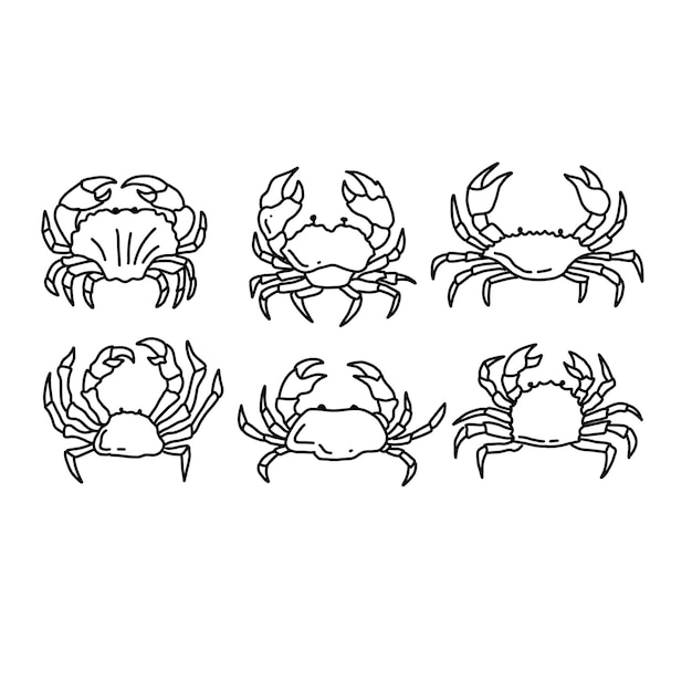 Crabes Doodle Art Illustrations Dessinées à La Main Vecteur