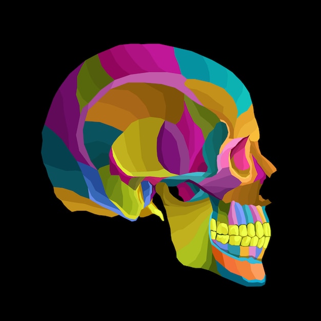 Vecteur crâne coloré