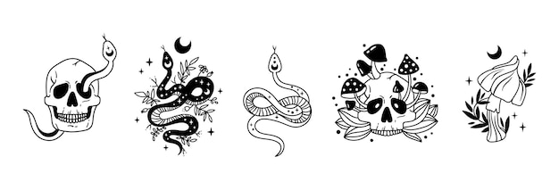 Vecteur crâne de serpent floral céleste de paquet d'halloween mystique avec des cliparts de lune et d'étoiles de champignons