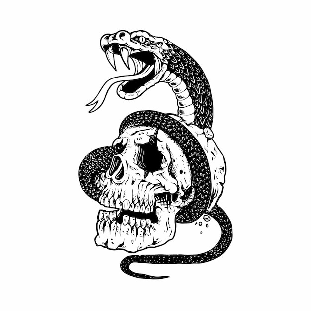 Crâne Et Serpent