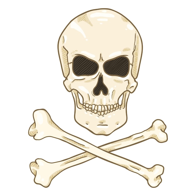 Vecteur crâne de symbole de pirate de bande dessinée de vecteur avec des os croisés
