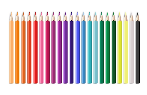 Crayon coloré réaliste Articles de bureau ou d'école disposés en ligne par couleurs arc-en-ciel lumineux outils en bois créatifs enfantins papeterie pour la peinture et les arts vecteur illustration isolée