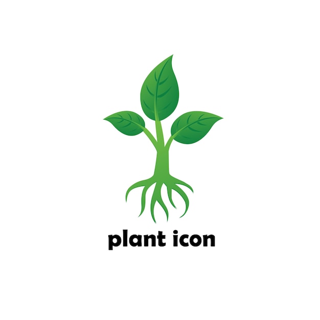 Création de logo icône plante