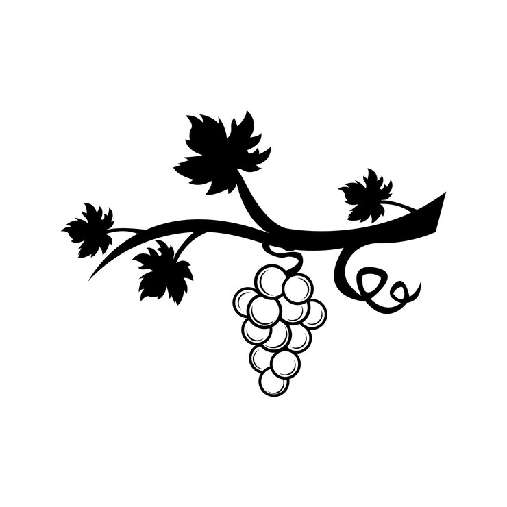 Vecteur création de logo d'illustration vectorielle d'icône de raisin
