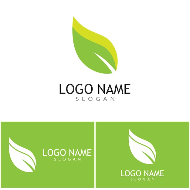 Création De Logo Nature Illustration Feuille Verte