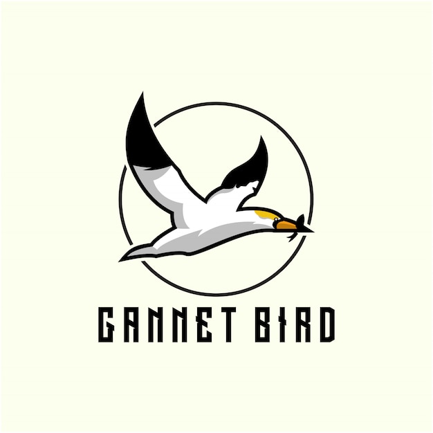 création de logo oiseau gannet