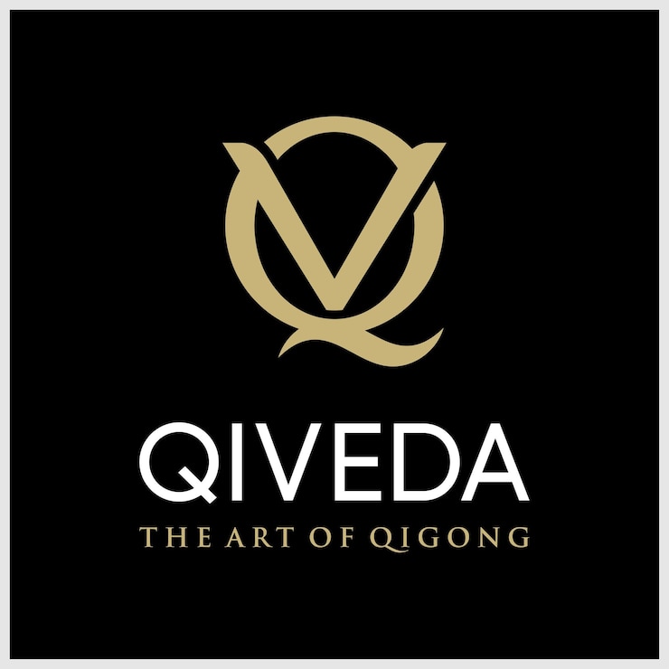 Vecteur création de logo qv lettre initiale avec modèle vectoriel de typographie d'entreprise moderne qv isolé créatif
