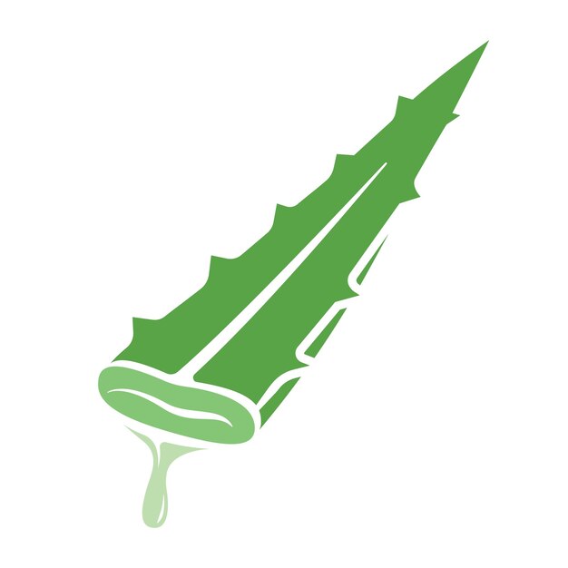 Création De Logo Vectoriel à L'aloe Vera