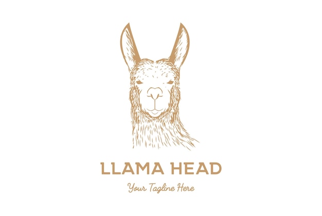 Création Logo Visage Tête Lama Dessinés Main Rétro Vintage Vecteur