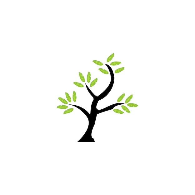 Création De Vecteur Arbre Icône Logo