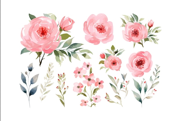 Créez une illustration à l'aquarelle délicate et vivante représentant un jardin en pleine floraison