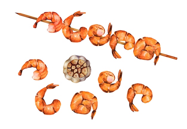 Crevette grillée. Brochette de crevettes. Illustration aquarelle