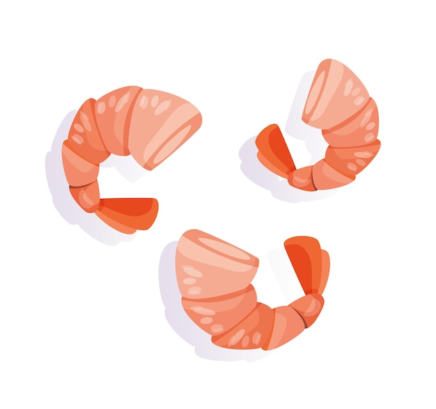 Crevettes Fruits De Mer Isolé Illustration Illustration Vectorielle