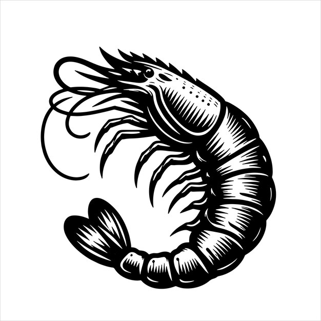 Vecteur les crevettes svg