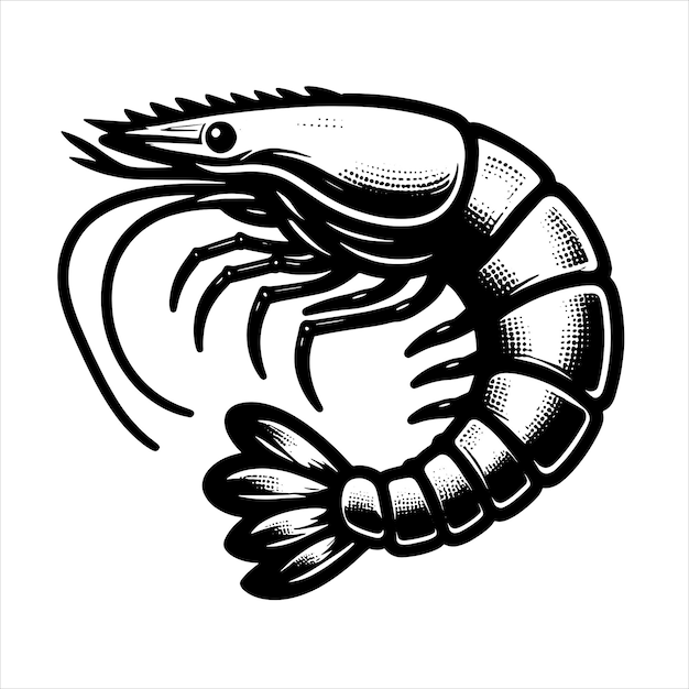 Vecteur les crevettes svg