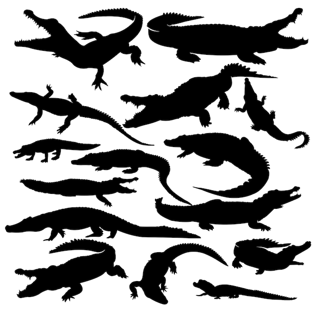 Crocodile Silhouette Vecteur Ensemble Illustration