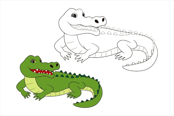Vecteur crocodile vert mignon, page de coloriage pour les enfants. illustration vectorielle dessin au trait isolé, en style cartoon