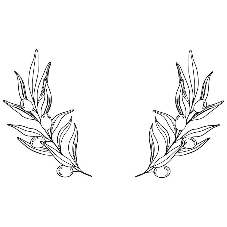 Vecteur croix d'une branche d'olive avec des baies et des feuilles illustration artistique de ligne vectorielle dessinée à la main