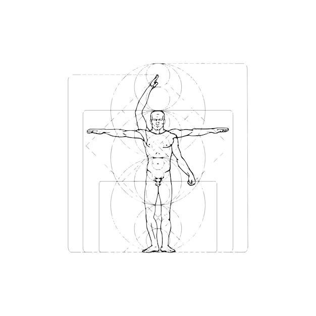 Croquis d'anatomie avec modèle masculin, illustration vectorielle sur fond blanc