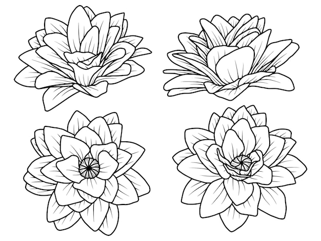 Croquis D'art En Ligne Fleur Rose