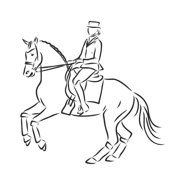 Vecteur un croquis d'un cavalier de dressage sur un cheval exécutant la demi-passe.