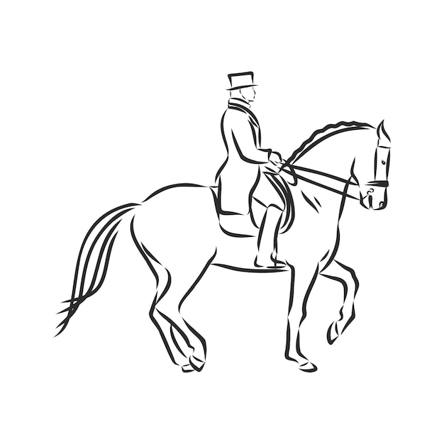 Un Croquis D'un Cavalier De Dressage Sur Un Cheval Exécutant La Demi-passe.