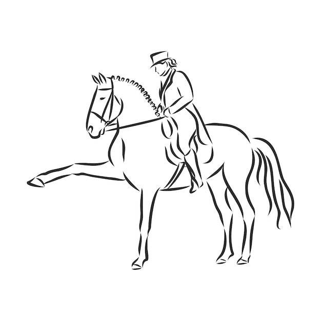 Un Croquis D'un Cavalier De Dressage Sur Un Cheval Exécutant La Demi-passe.