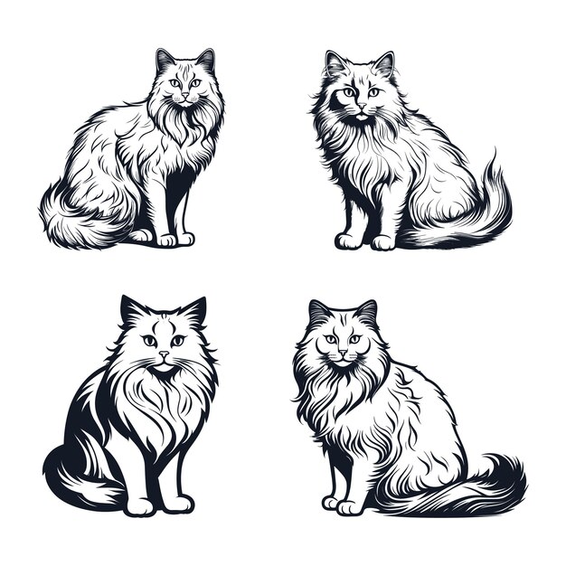 Des Croquis De Chats Domestiques