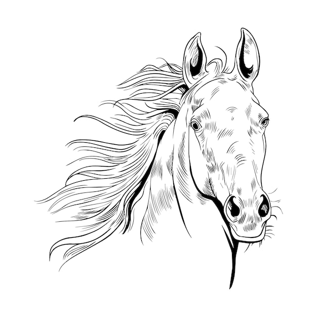 Vecteur croquis de cheval