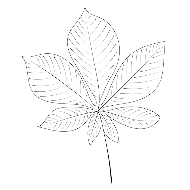 Croquis De Contour De Feuille D'arbre Doodle Isolé