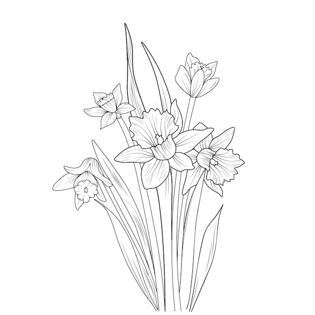 Vecteur croquis de contour de la page de coloriage de fleur de jonquille et bouquet de livres d'art vectoriel de fleur de narcisse.