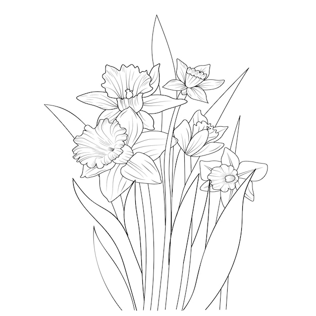 Vecteur croquis de contour de la page de coloriage de fleur de jonquille et bouquet de livres d'art vectoriel de fleur de narcisse.