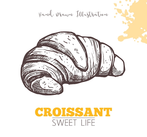 Croquis De Croissant Sucré Isolé Sur Blanc