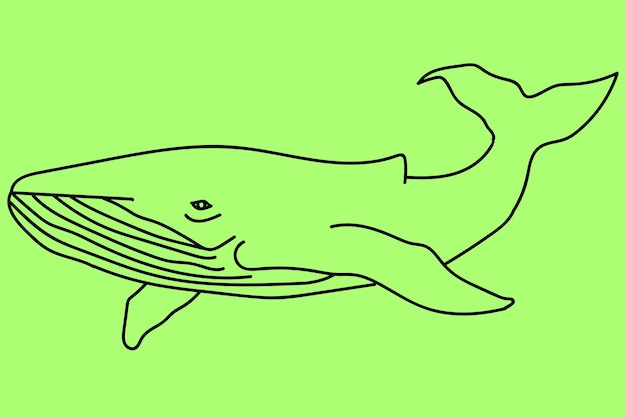 Vecteur croquis dessin au trait baleine