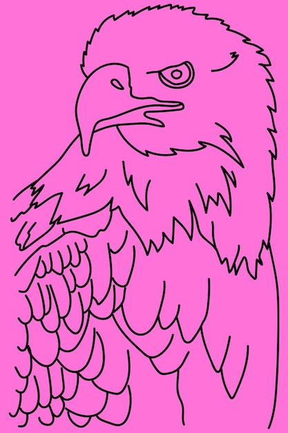 Croquis Dessin Au Trait Eagle