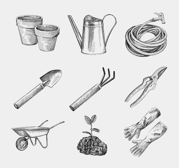 Croquis dessiné à la main des outils et équipements de jardinage. Sécateurs, arrosoir, tuyau; Pelle à creuser; Fourche à creuser; Brouettes; plante avec des feuilles poussant dans le sol