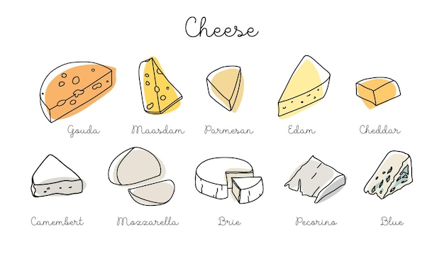 Croquis de différents fromages. Vecteur défini les contours des produits laitiers. Collection de fromages isolés